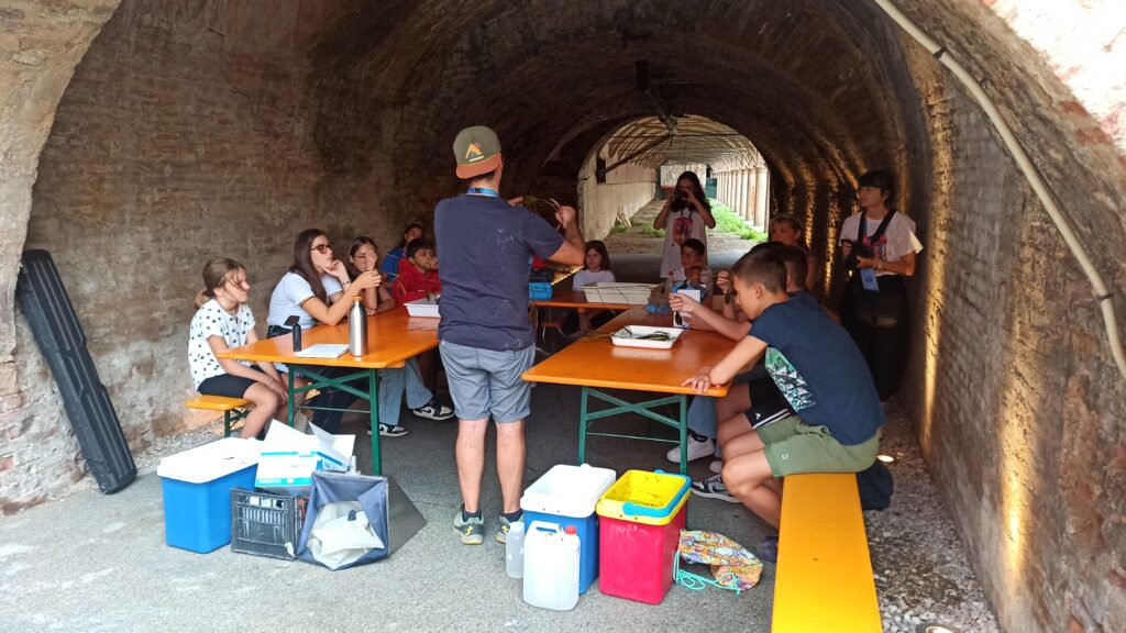 Il laboratorio Basta che sia trasparente svolto durante Festivaletteratura di Mantova