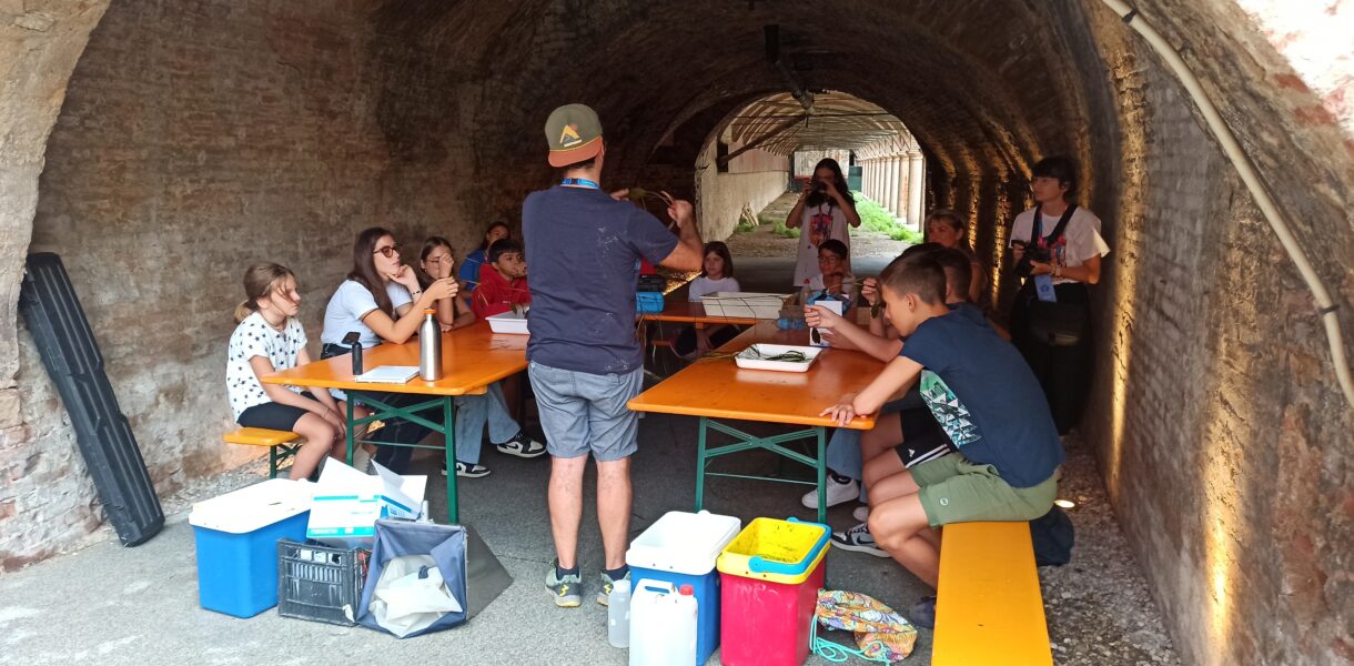 Il laboratorio Basta che sia trasparente svolto durante Festivaletteratura di Mantova